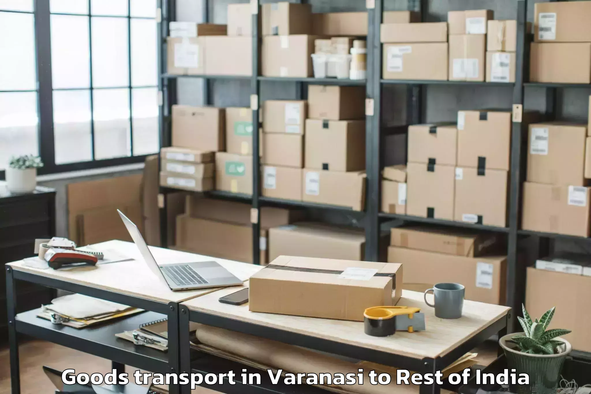 Professional Varanasi to Bishama Katek Goods Transport